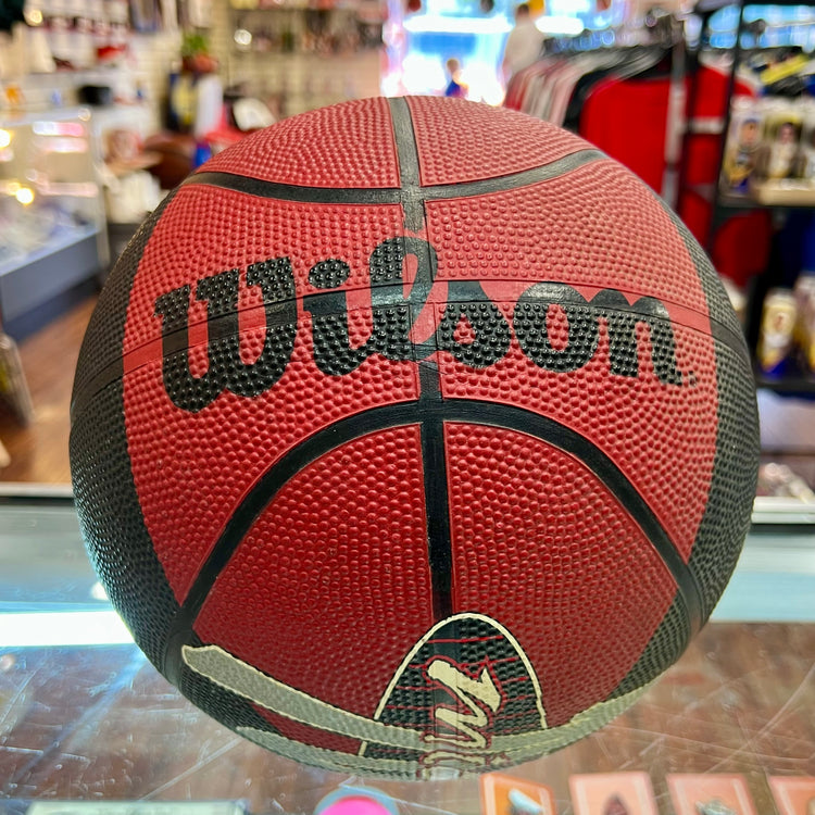 Wilson Michael Jordan 90's Ball