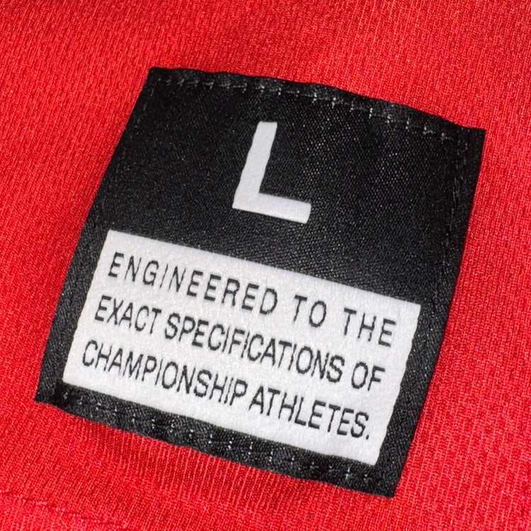 NWT Stitched Ohio State Jersey Sz L