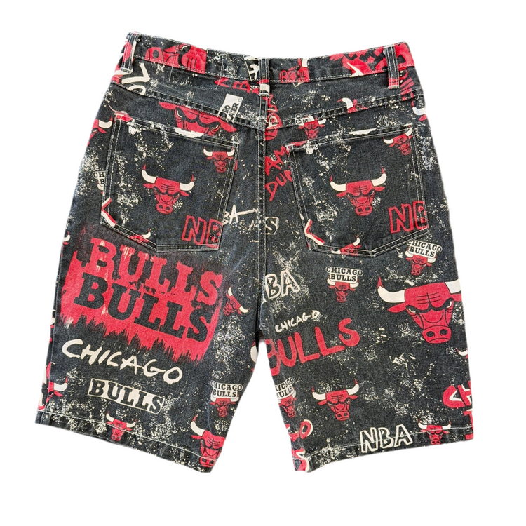 Pro Player Chicago Bulls Shorts Sz L