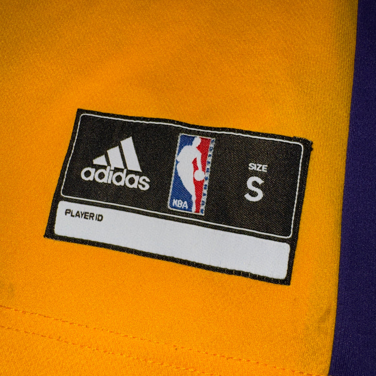 Adidas Los Angeles Lakers Steve Blake Jersey Sz S