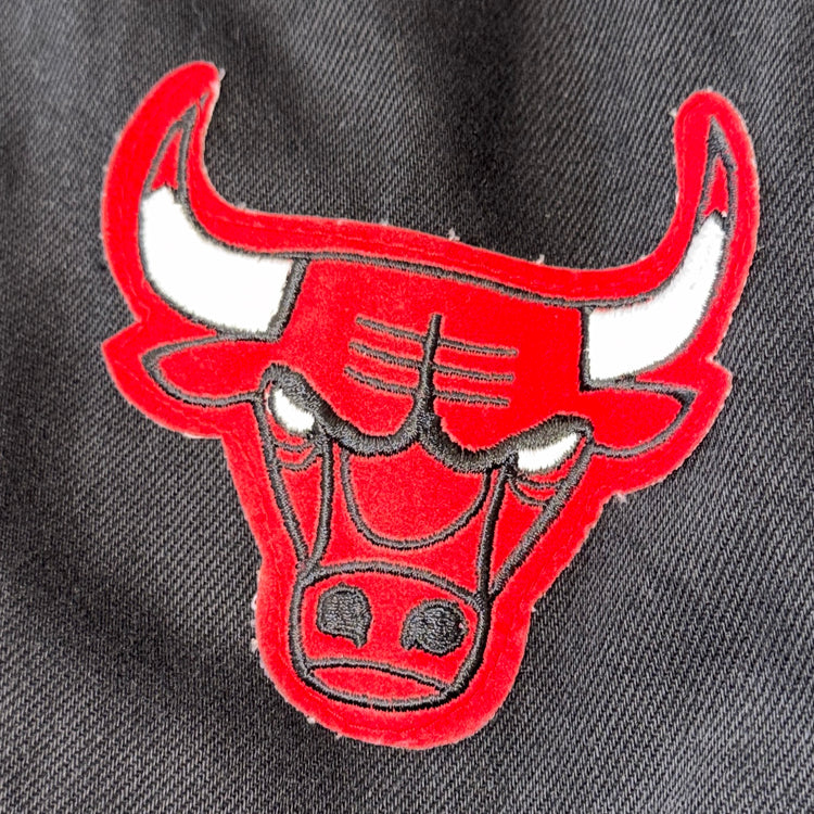 Jeff Hamilton 90’s Chicago Bulls Jacket Sz L