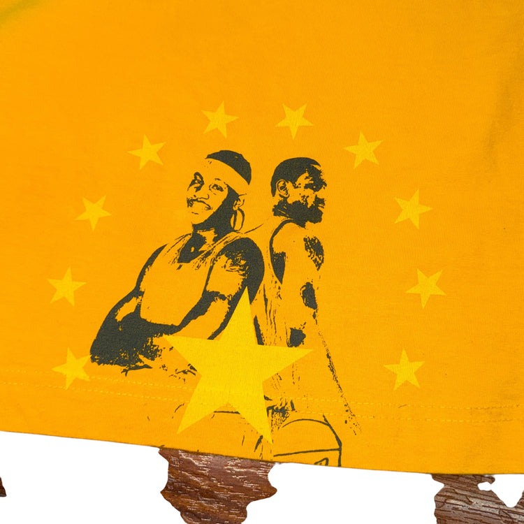 LBJ X Carmelo Anthony Season Vets Tee Sz 2X