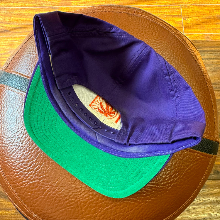 Twins Early 90s Phoenix Suns SnapBack