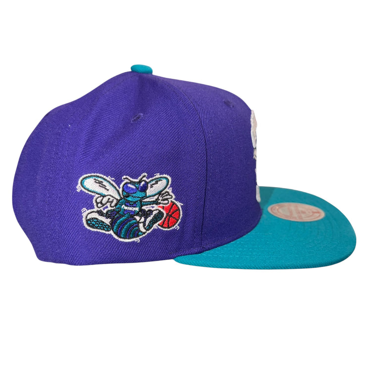 NWT Mitchell & Ness Charlotte Hornets Snapback