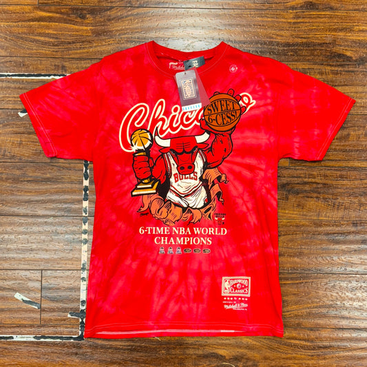 NWT MN Chicago Bulls 6X Champ Tee Sz M