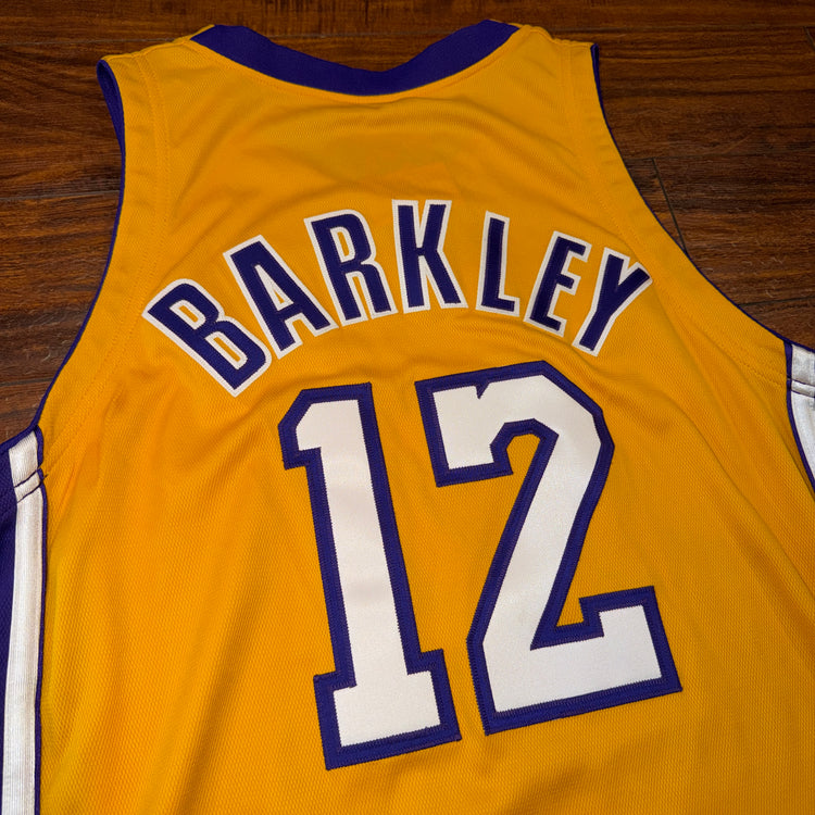 Nike '01 Los Angeles Erick Barkley Team Issued Lakers Jersey Sz XL