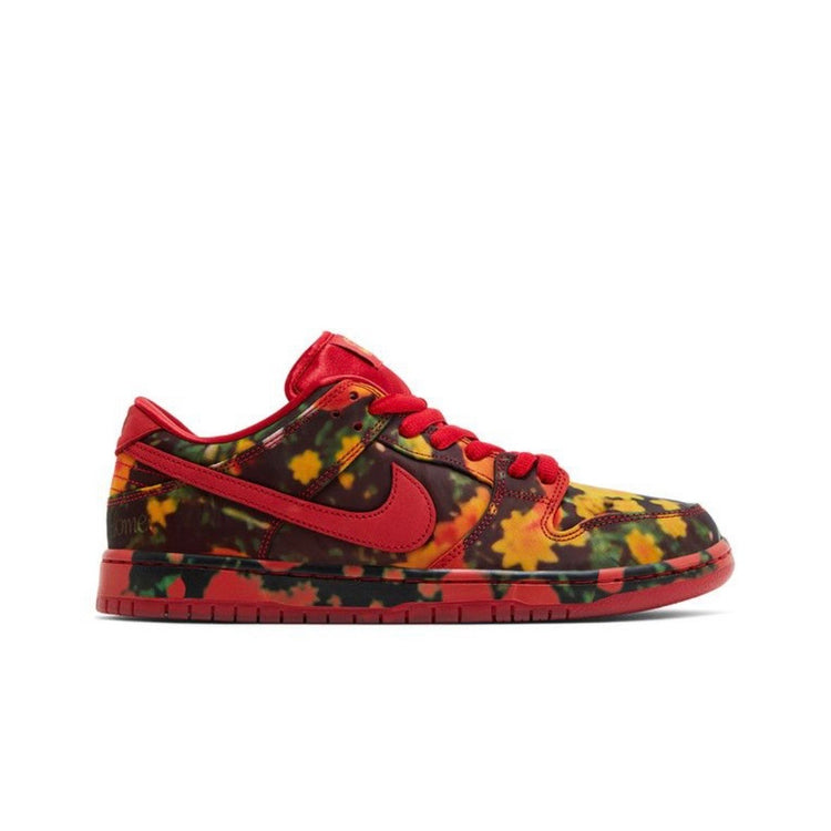 DS Nike SB Wizard Of OZ Men’s 13