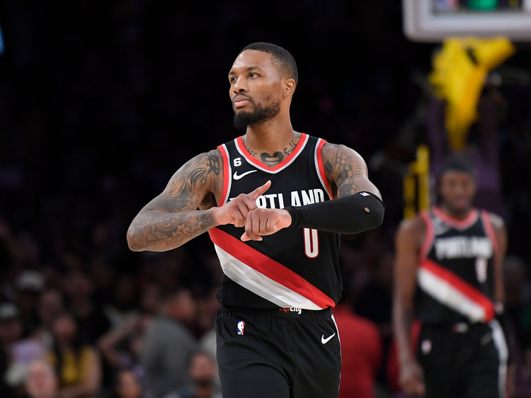 Nike Swingman Icon Edition Portland Trail Blazers Damian Like Jersey Sz L