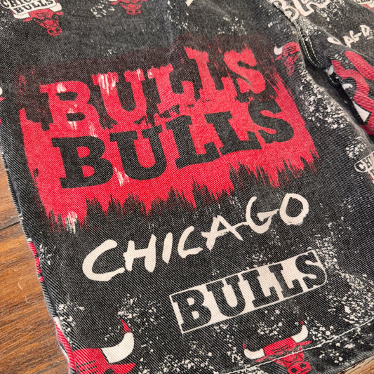 Pro Player Chicago Bulls Shorts Sz L